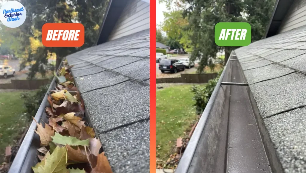 gutter cleaning nepa