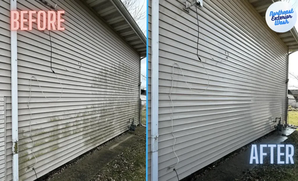 before and after house wash nepa