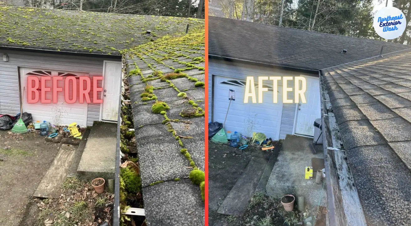 roof cleaning nepa