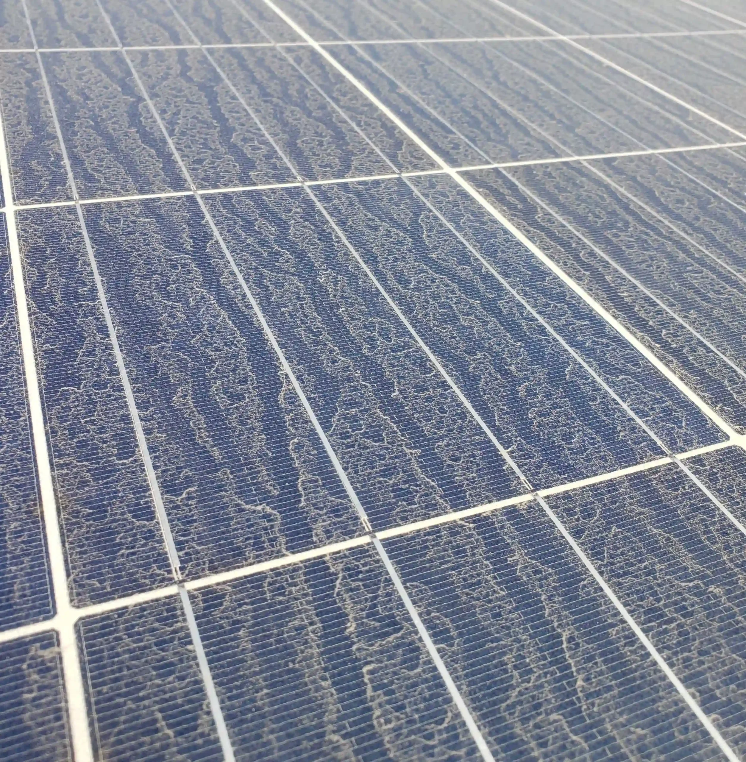 solar panel cleaning nepa